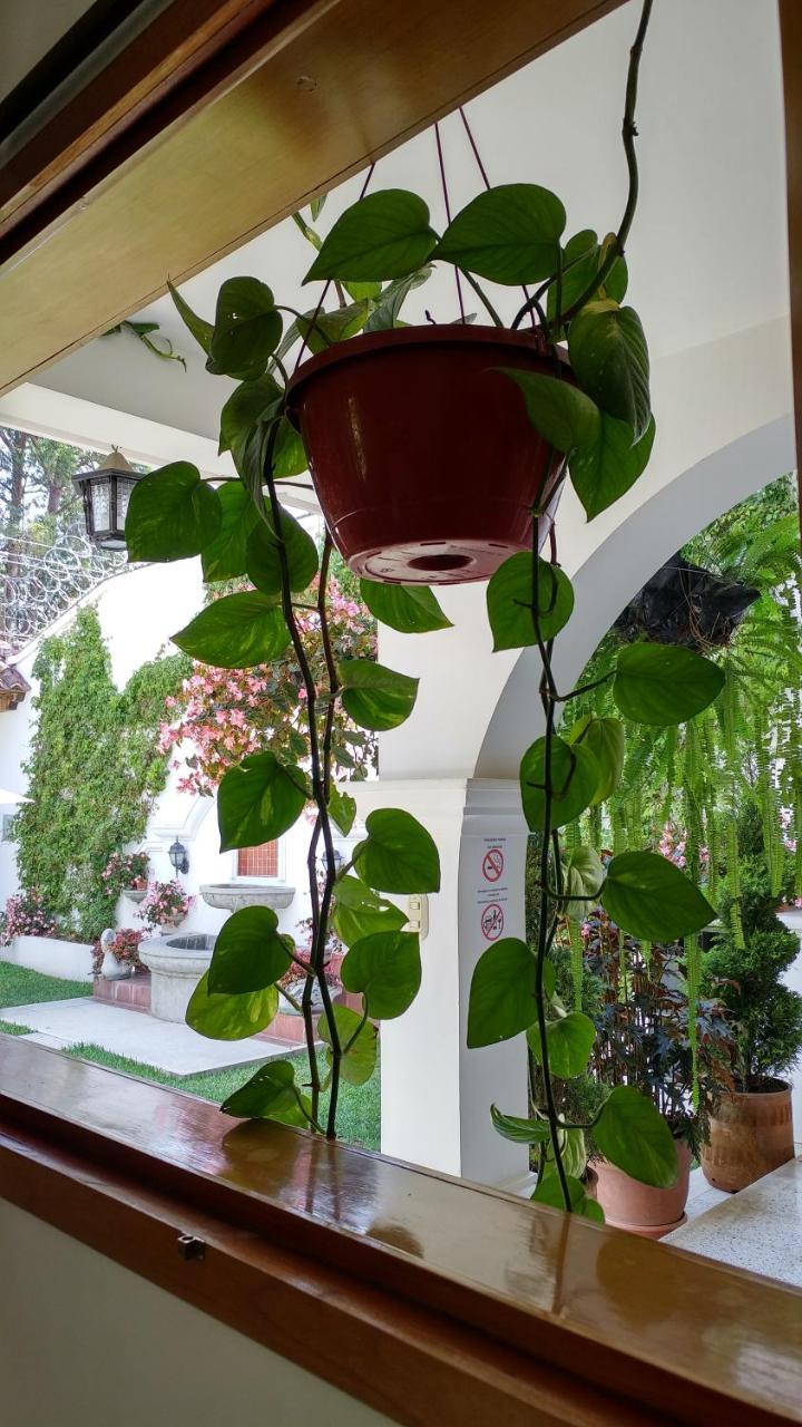 Ixkanul Antigua Hotel Eksteriør bilde